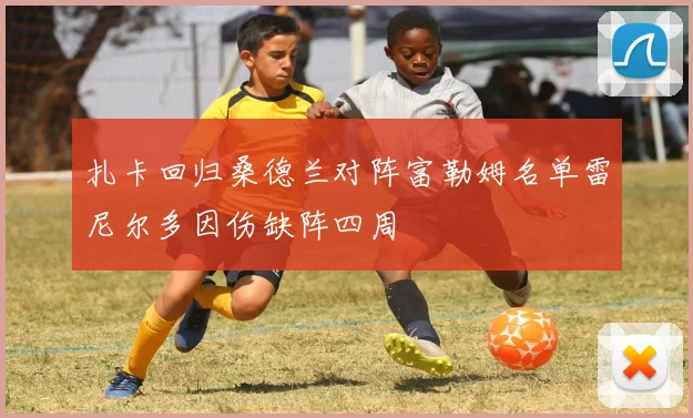 扎卡回归桑德兰对阵富勒姆名单雷尼尔多因伤缺阵四周